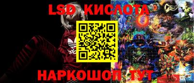 прущие крисы Абакан
