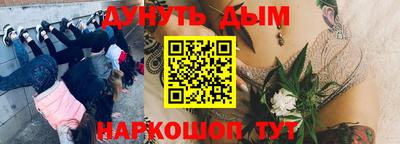 прущие крисы Абакан