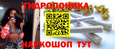 прущие крисы Абакан
