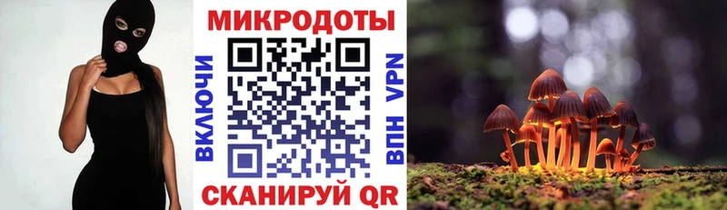 Псилоцибиновые грибы Psilocybe  blacksprut ТОР  Азнакаево 