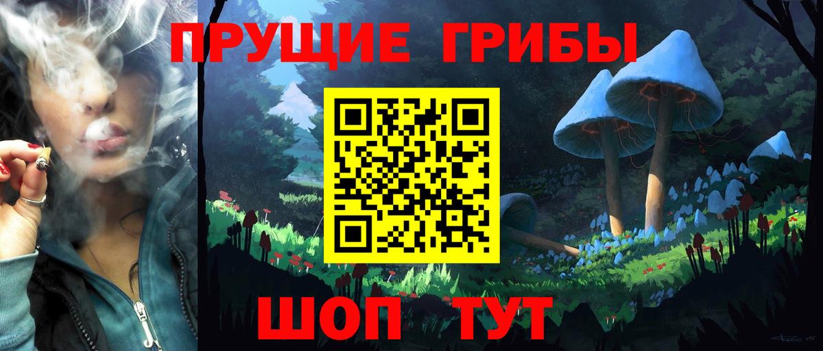 Псилоцибиновые грибы Cubensis Азнакаево