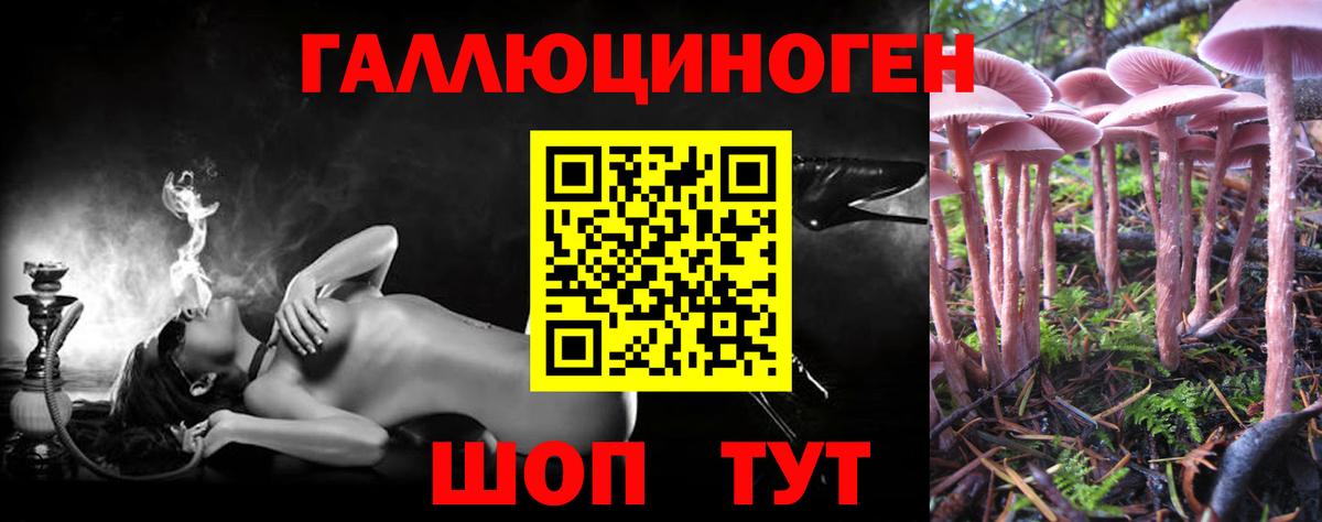 Галлюциногенные грибы Psilocybe  Галлюциногенные грибы ЛСД  Азнакаево  Вход с VPN 